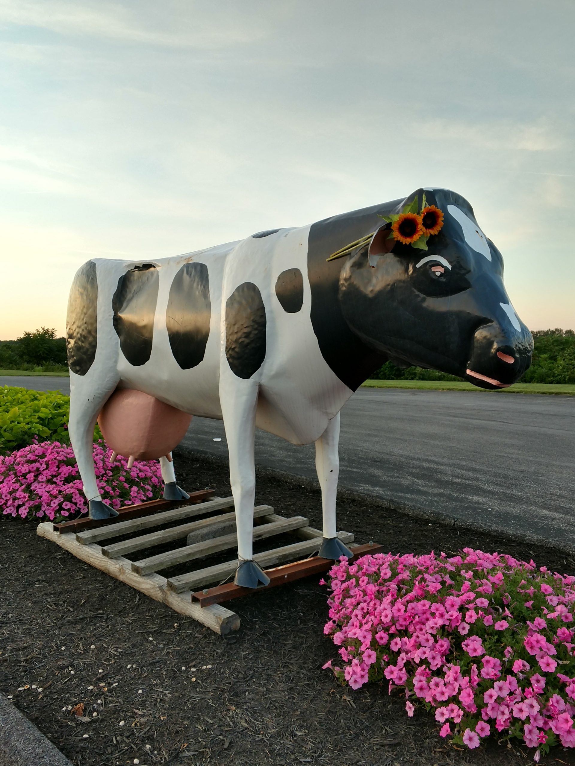 2020 Buttercup