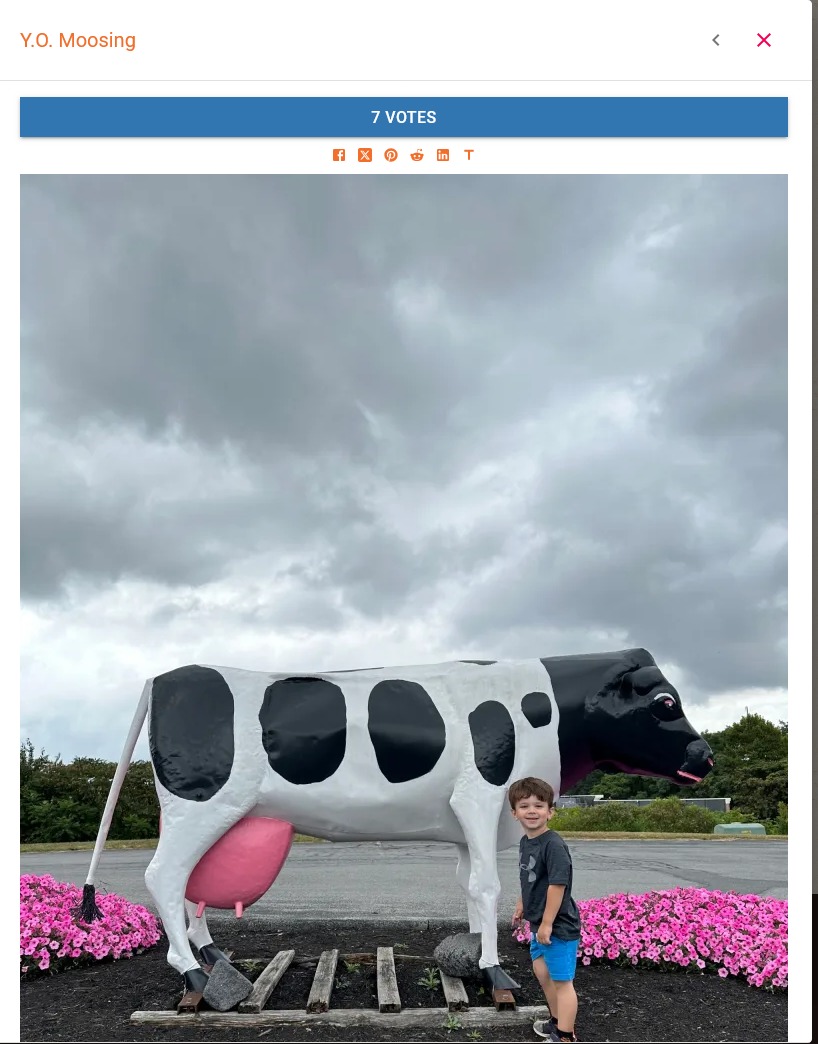 Y.O. Moosing